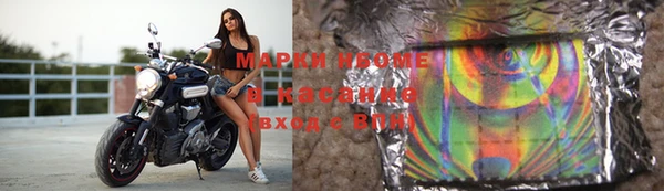 прущие грибы Белая Холуница