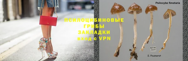 эйфоретик Пересвет