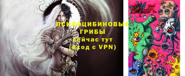 эйфоретик Пересвет
