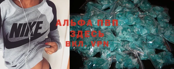 прущие грибы Белая Холуница