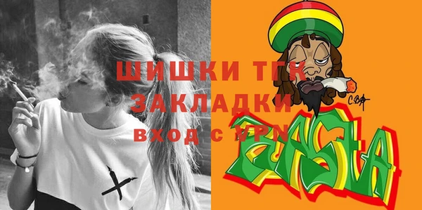 эйфоретик Пересвет