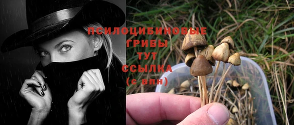 герыч Фурманов