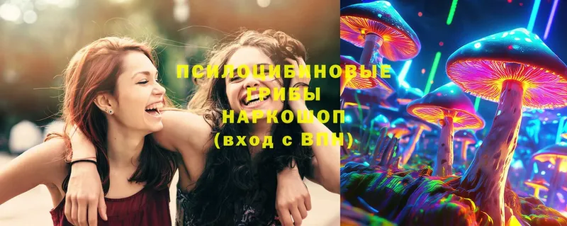 МЕГА ТОР  магазин  наркотиков  Реутов  Галлюциногенные грибы мухоморы 