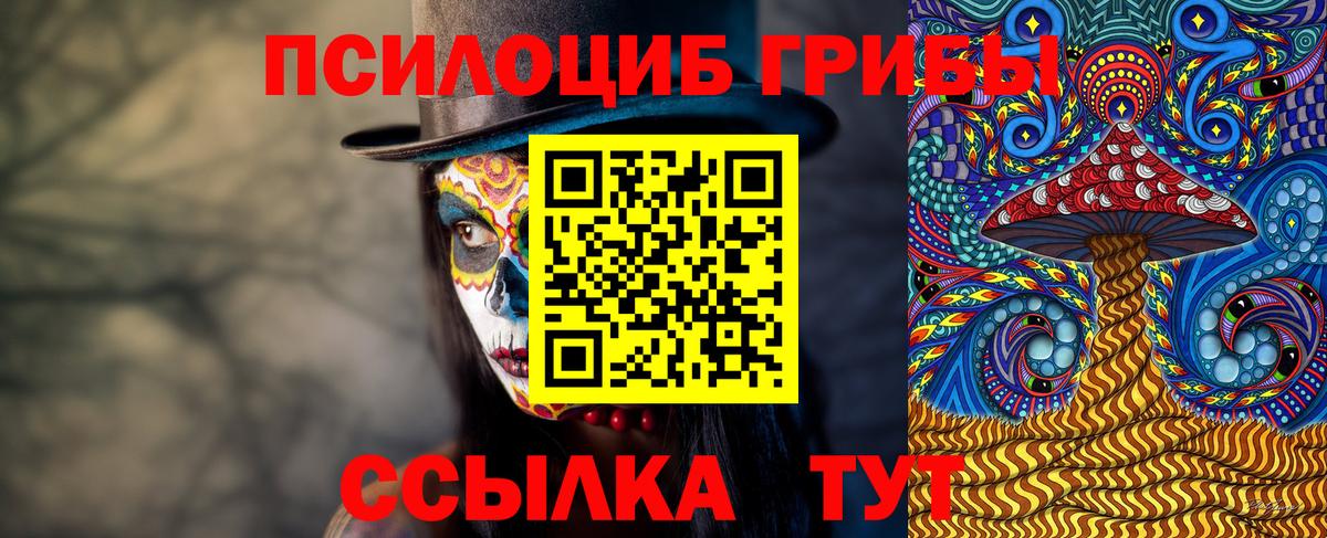 Галлюциногенные грибы Psilocybine cubensis Реутов