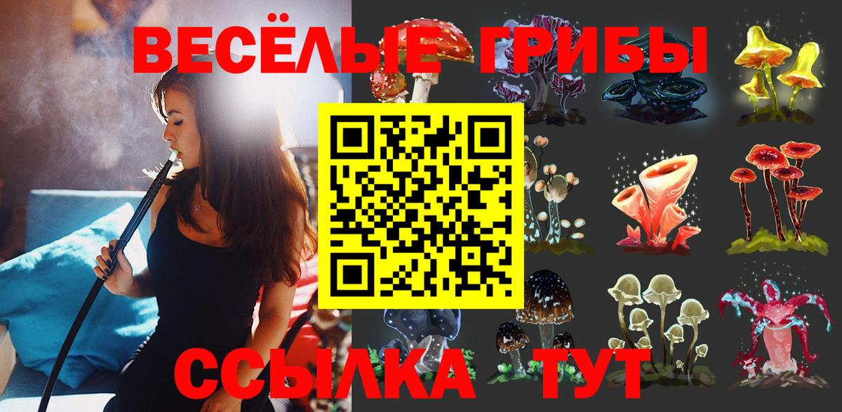 Псилоцибиновые грибы Psilocybine cubensis  Реутов 