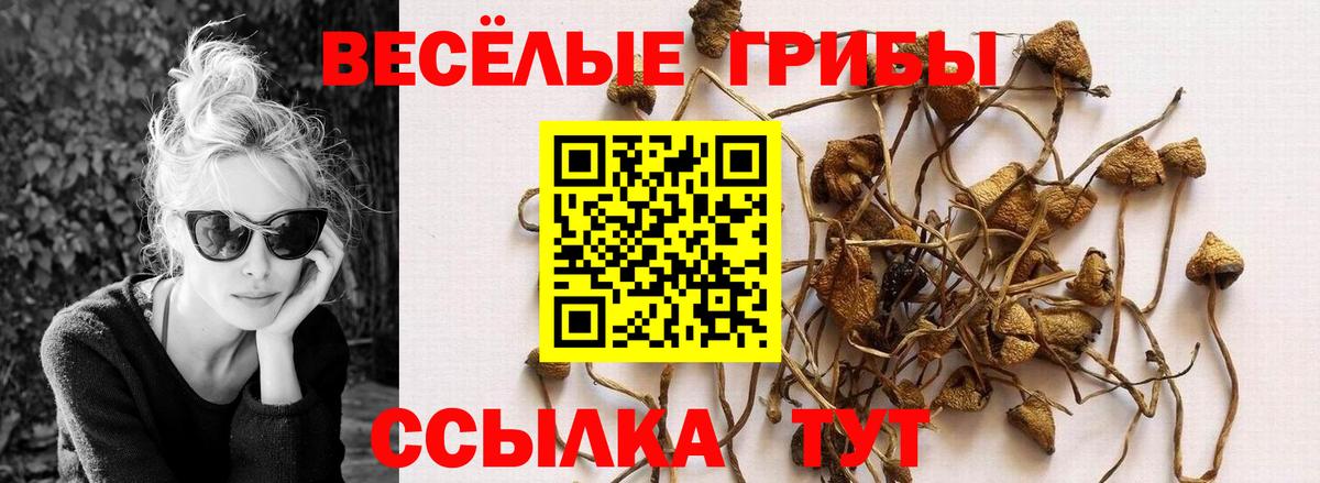 хочу наркоту  Галлюциногенные грибы ЛСД  Вход с VPN  Реутов  Псилоцибиновые грибы Cubensis 